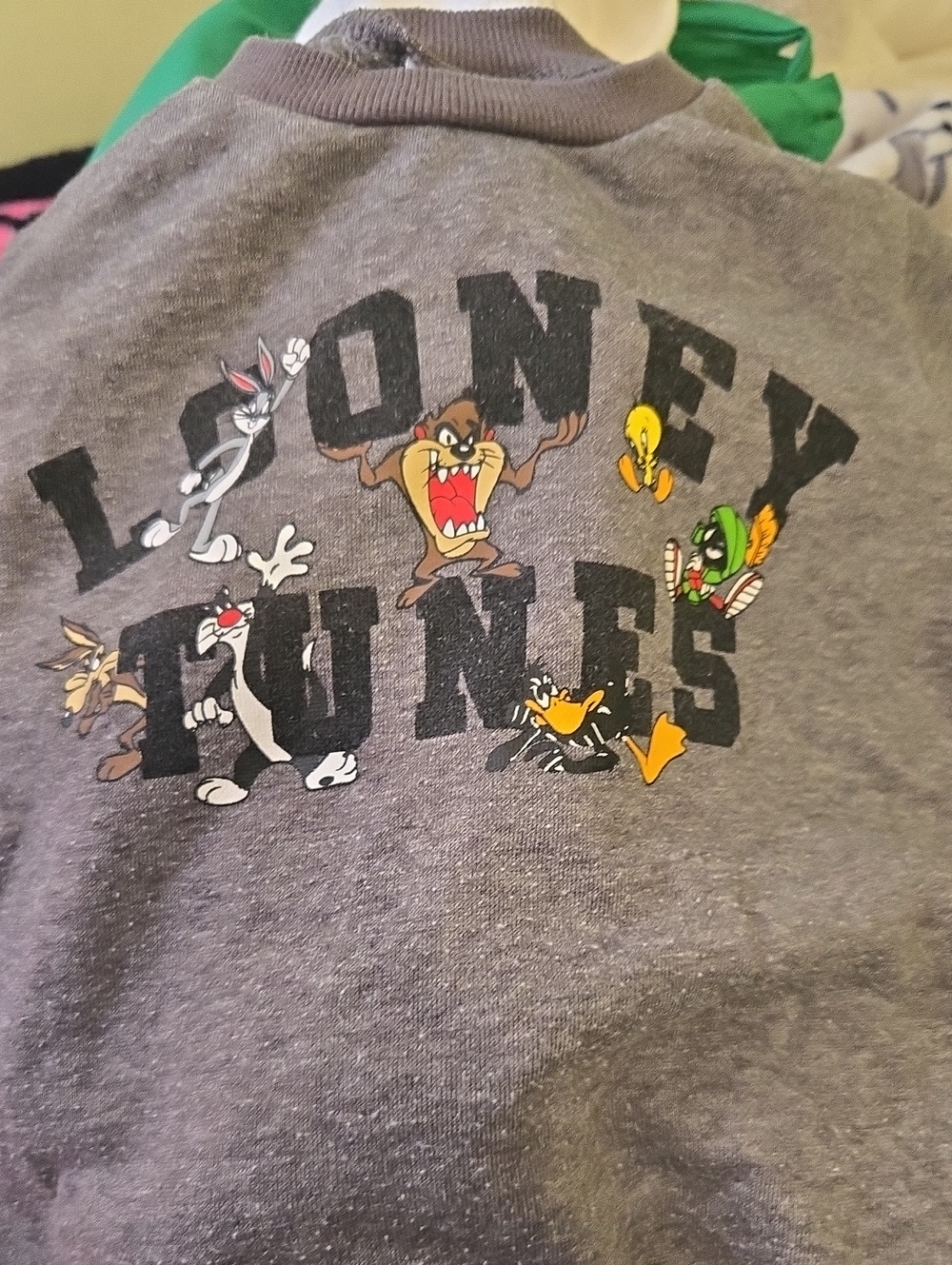 Warner Bros. Kids' Gray Graphic Sweatshirt